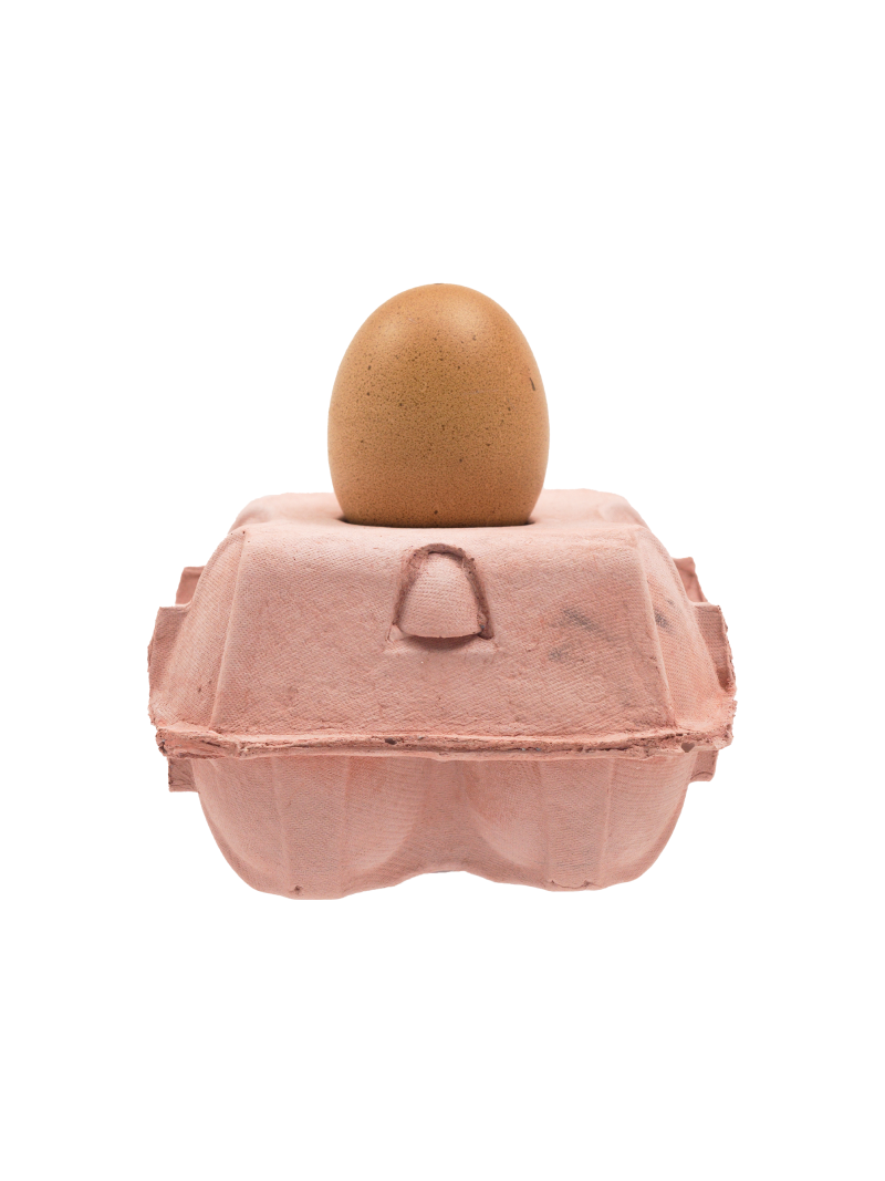 EggboxLAMP Rosé met een ei op een roze eierdoos, perfect voor elk interieur