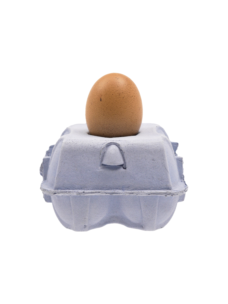 EggboxLAMP Sky LED lamp, decoratief ontwerp met een eivormige lamp, 400 lumen, warmwit licht