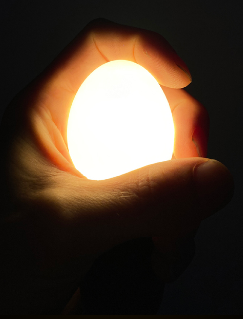 Egglamp wit LED, compact, warm licht, energiezuinig, geschikt voor verschillende ruimtes