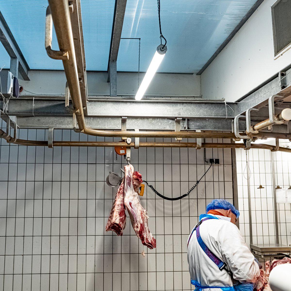 FarmPro LED TL-Leuchte 150 cm - Landwirtschaftliche LED TL-Beleuchtung - Ammoniak- und wasserbeständig - IP69K