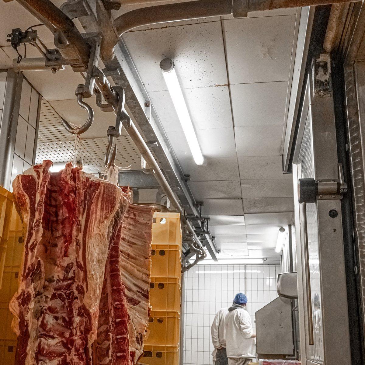 FarmPro LED TL-Leuchte 150 cm - Landwirtschaftliche LED TL-Beleuchtung - Ammoniak- und wasserbeständig - IP69K