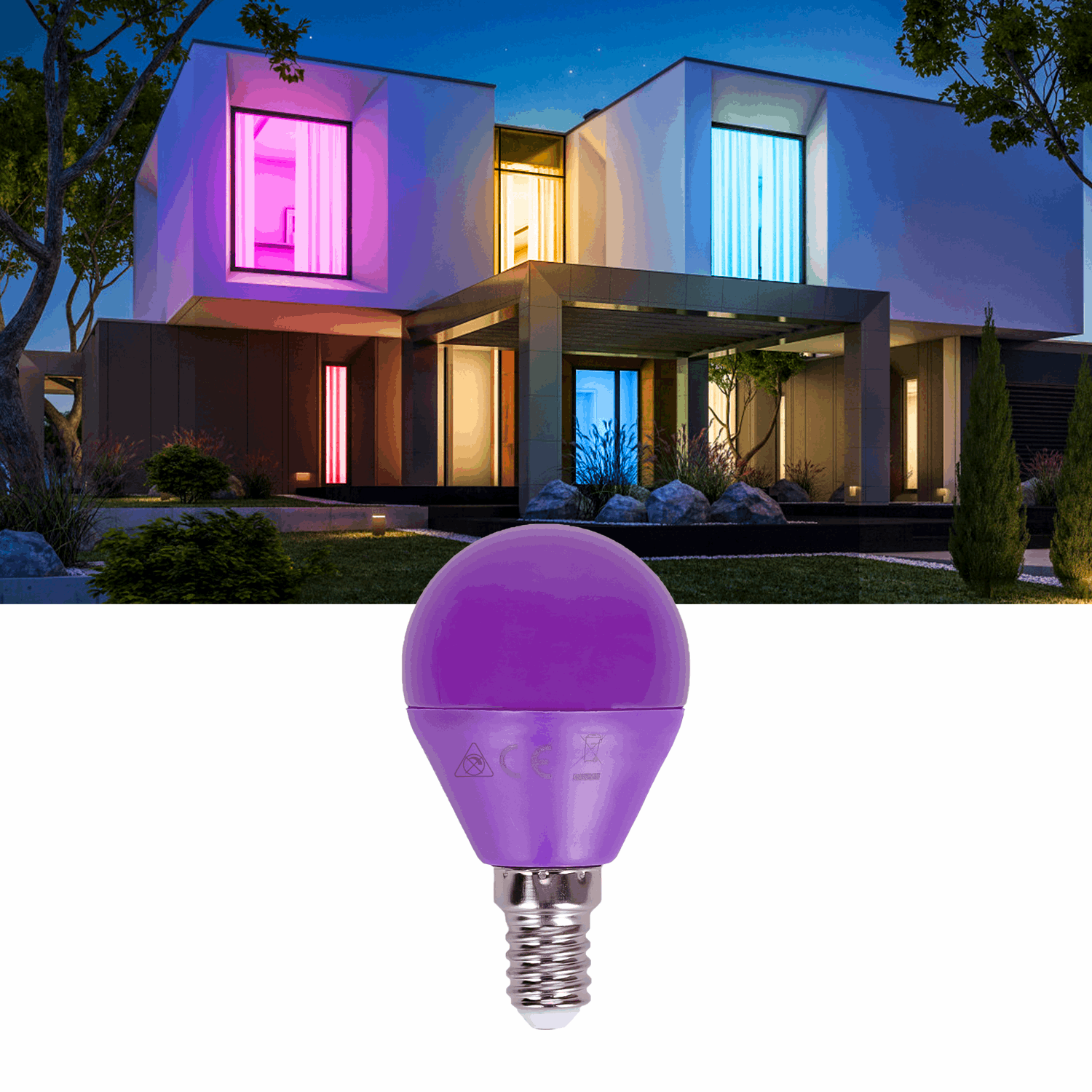 G45 kogellamp 5 stuks | E14 LED lamp 4W=30W gloeilamp | paars licht - LEDPLANET.NL