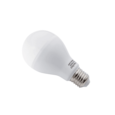 Gloeilamp E27 10 stuks | A60 LED 20W=120W traditioneel licht - 1900 Lumen | warmwit 3000K - LEDPLANET.NL