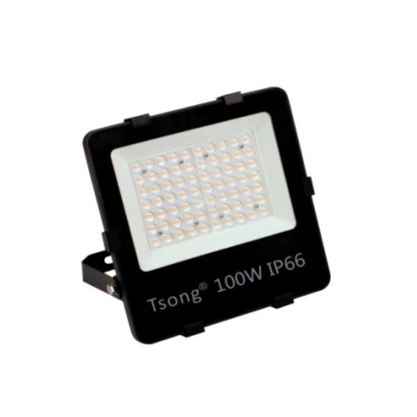LED schijnwerper 100W IP66 zwart