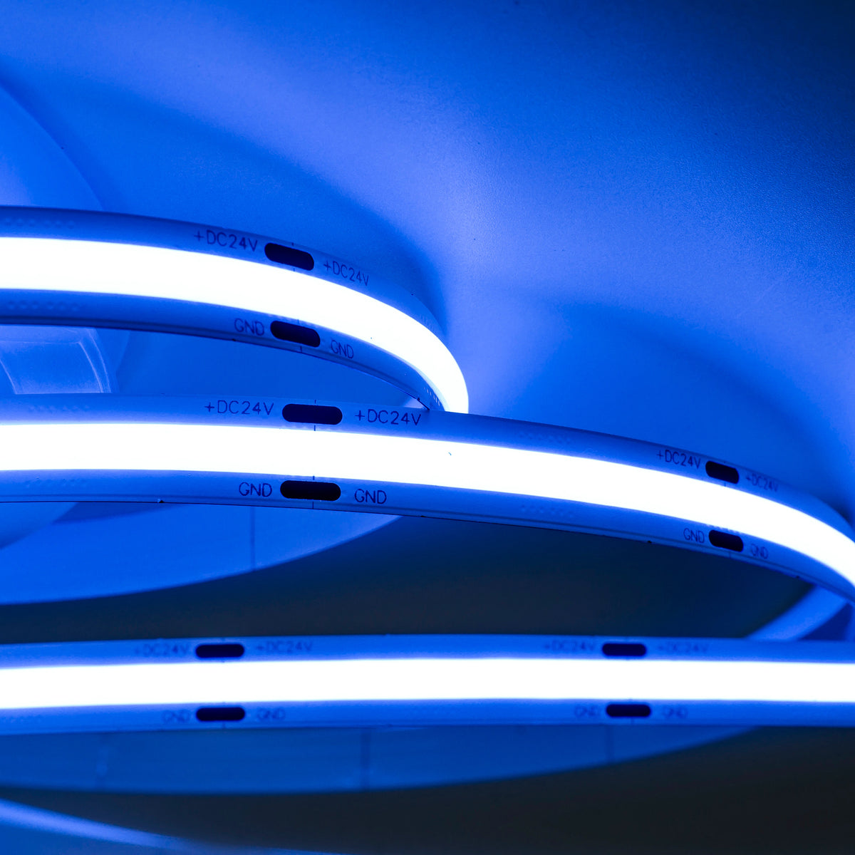 LED-strip 24V 10W 3000K IP20 met blauw licht voor sfeervolle verlichting