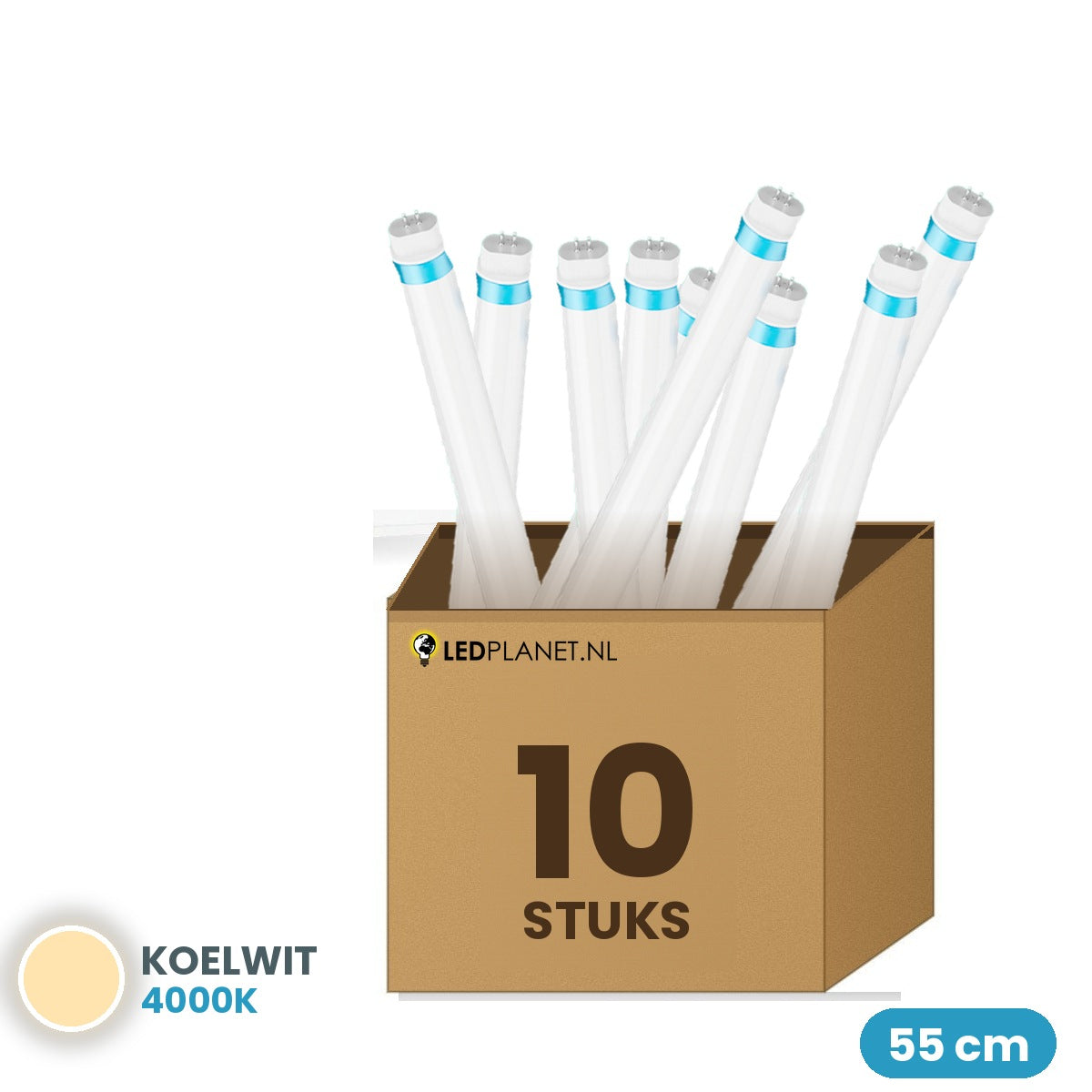 10 pièces de tube LED T5 55cm 9W 1260 lm blanc froid 4000K