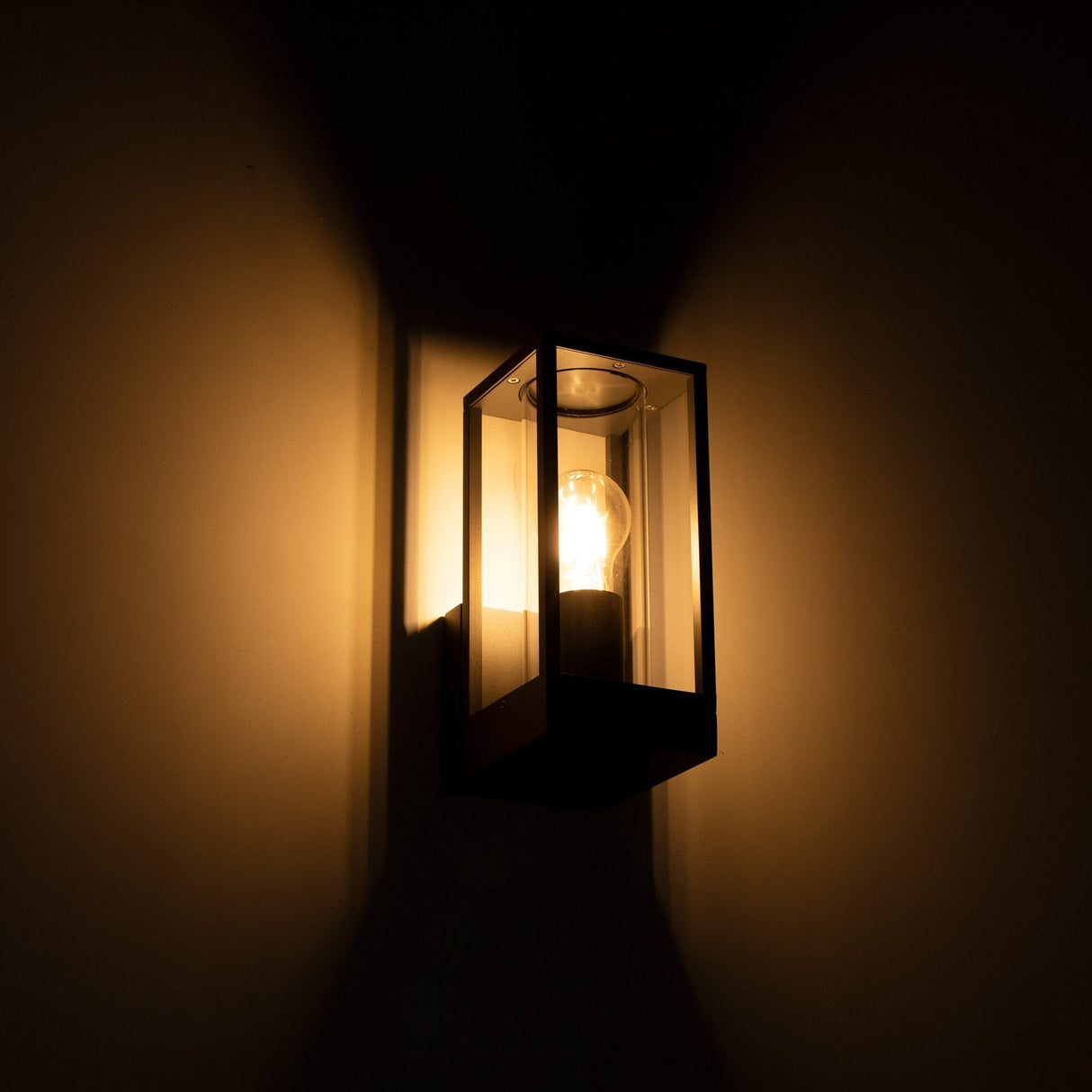 LED's Light LED Wall Lamp with Glass Windows - Rectangle - E27 Fitting - IP44 - Anthracite