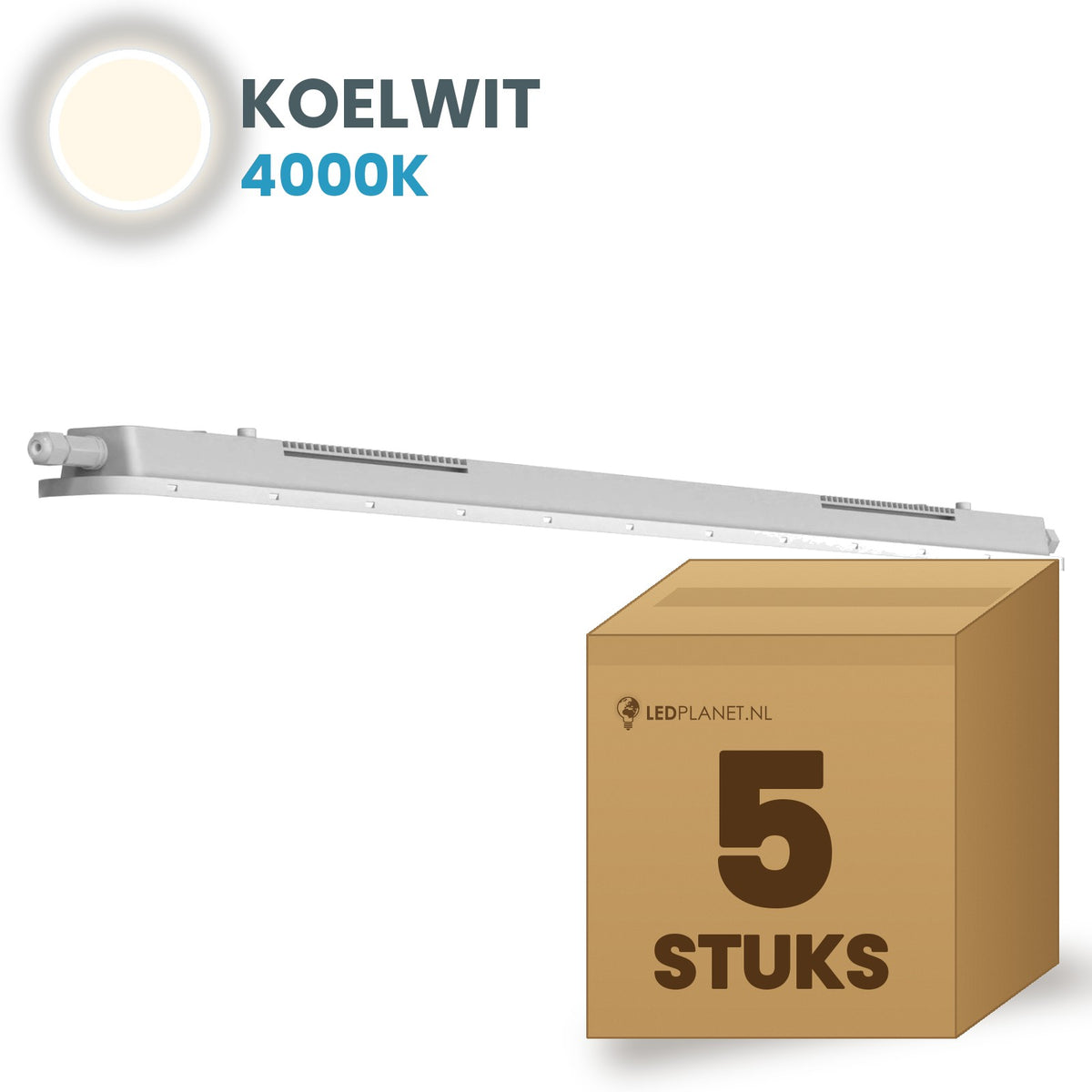 Karton z 5 oprawami hermetycznymi LED Tri-Proof 600mm biały chłodny 4000K
