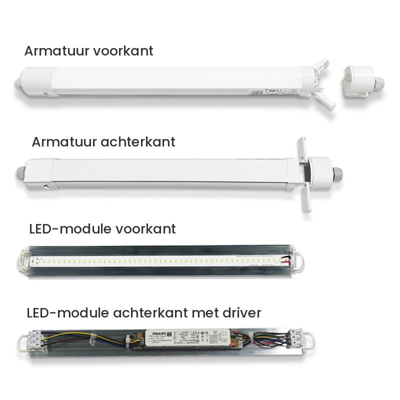LED Feuchtraumleuchte Tri-Proof 1200mm 36W - Leuchte und LED-Modul Vorder- und Rückseite