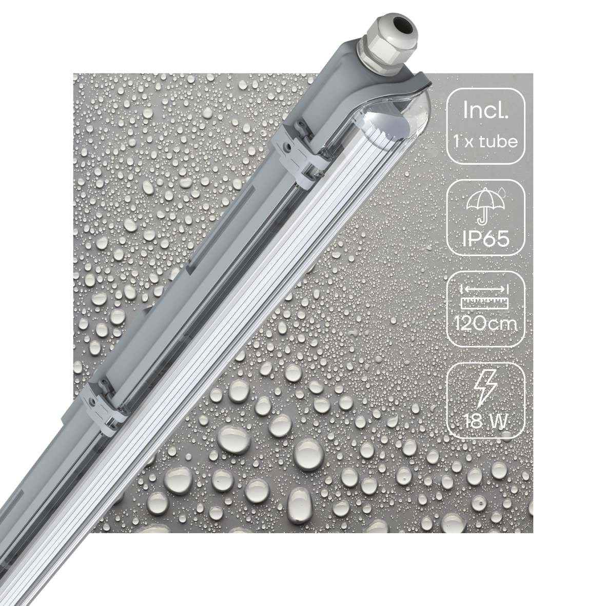 LED-TL-Leuchte mit Röhre – 120 cm, 6500 K