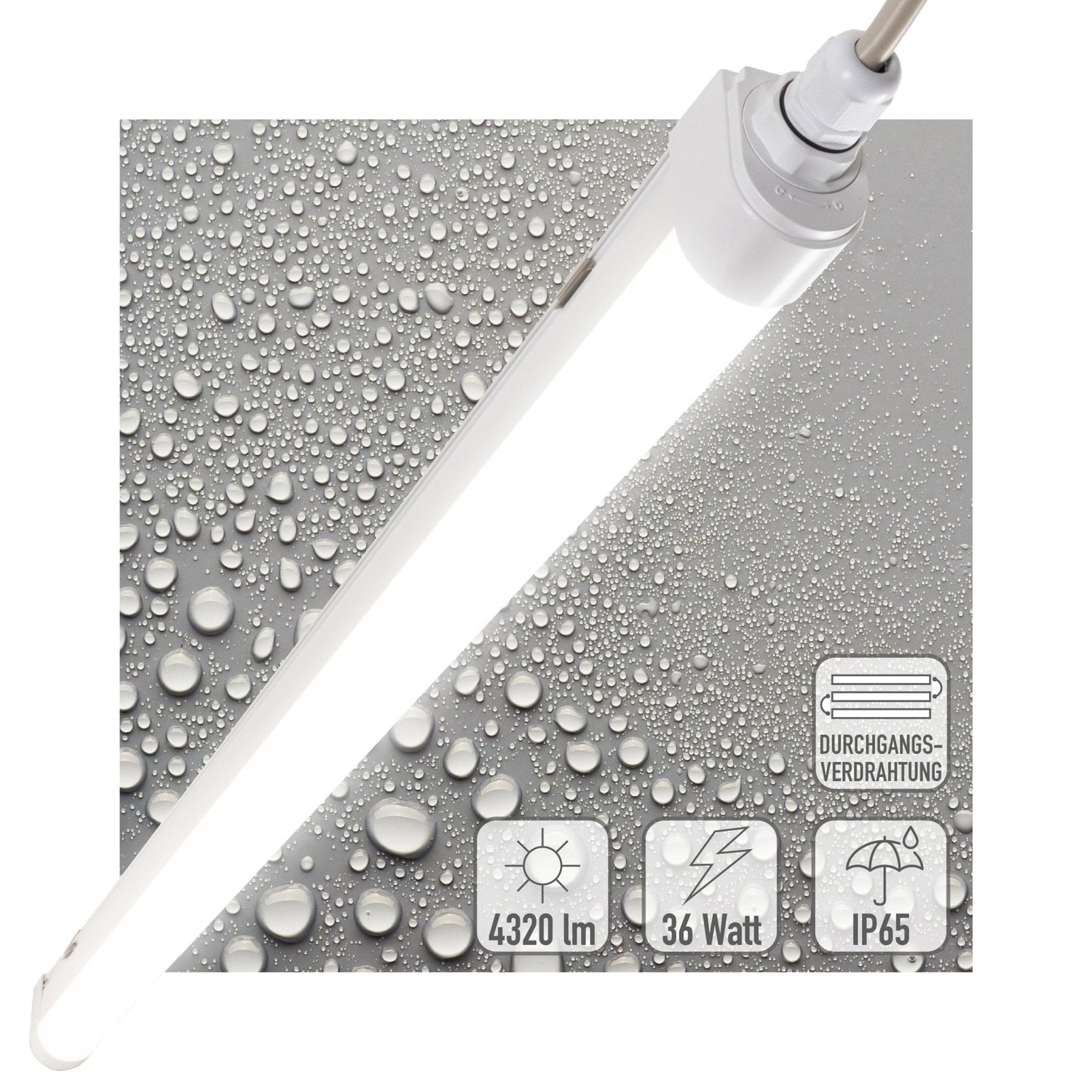 LED's Light LED TL lamp complete 120 cm - Connectable up to 10 lamps - Waterproof - IP65