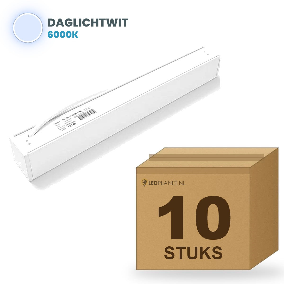 Karton mit 10 Stück, Lichtfarbe tageslichtweiß 6000K