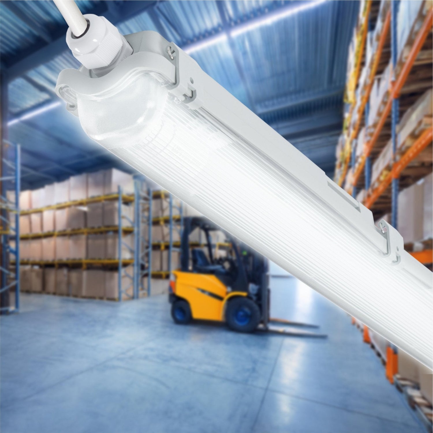 Proventa LED TL-Leuchten mit Lampen 120 cm - Kaltweißes Licht 6500 K - Wasserfest - Vorteilspackung - 8 Stück