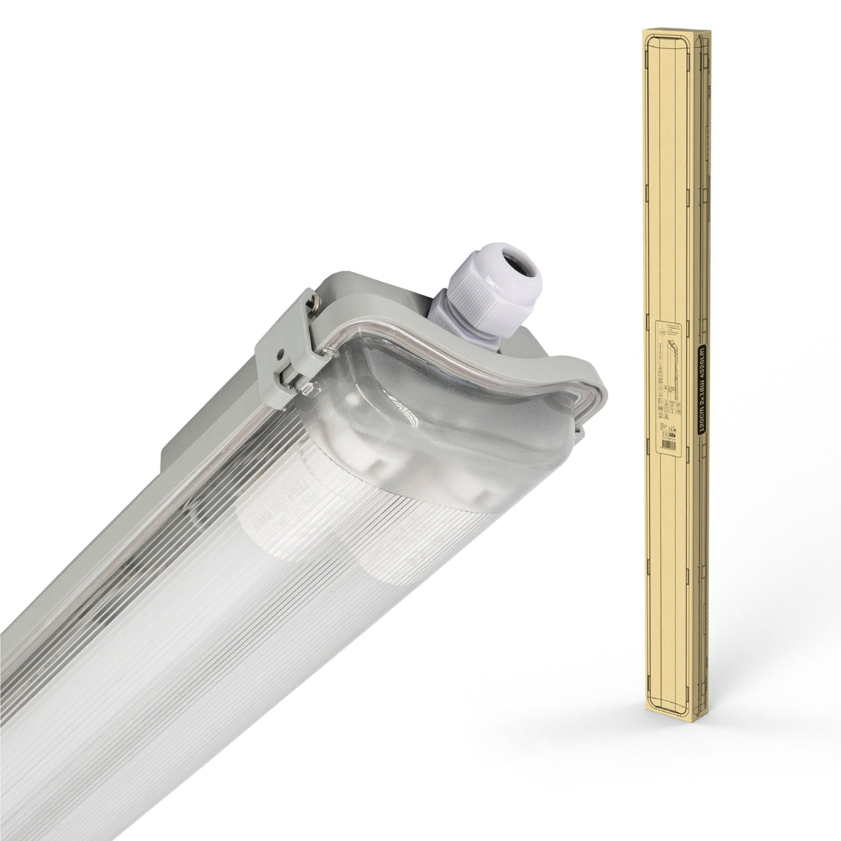 Proventa LED TL Doppelleuchte mit 16 Lampen 120 cm - Kaltweißes Licht 6500 K - Vorteilspack - 8 Stück