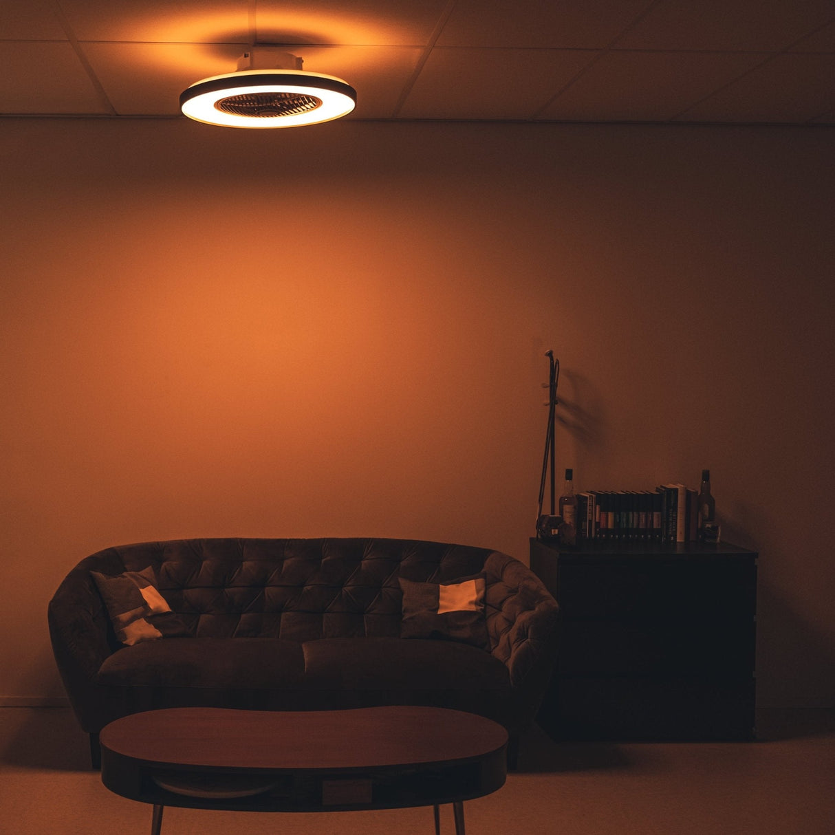 Proventa Premium Deckenventilator mit Lampe 60 cm - Sommer- und Wintermodus mit Fernbedienung - Schwarz