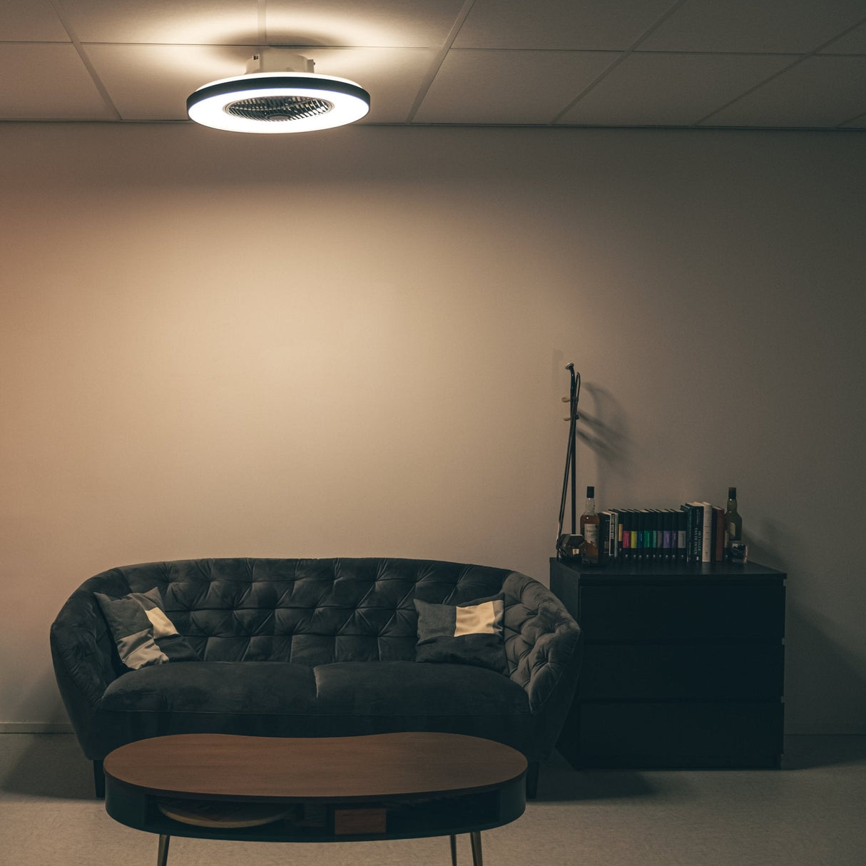 Proventa Premium Deckenventilator mit Lampe 60 cm - Sommer- und Wintermodus mit Fernbedienung - Schwarz