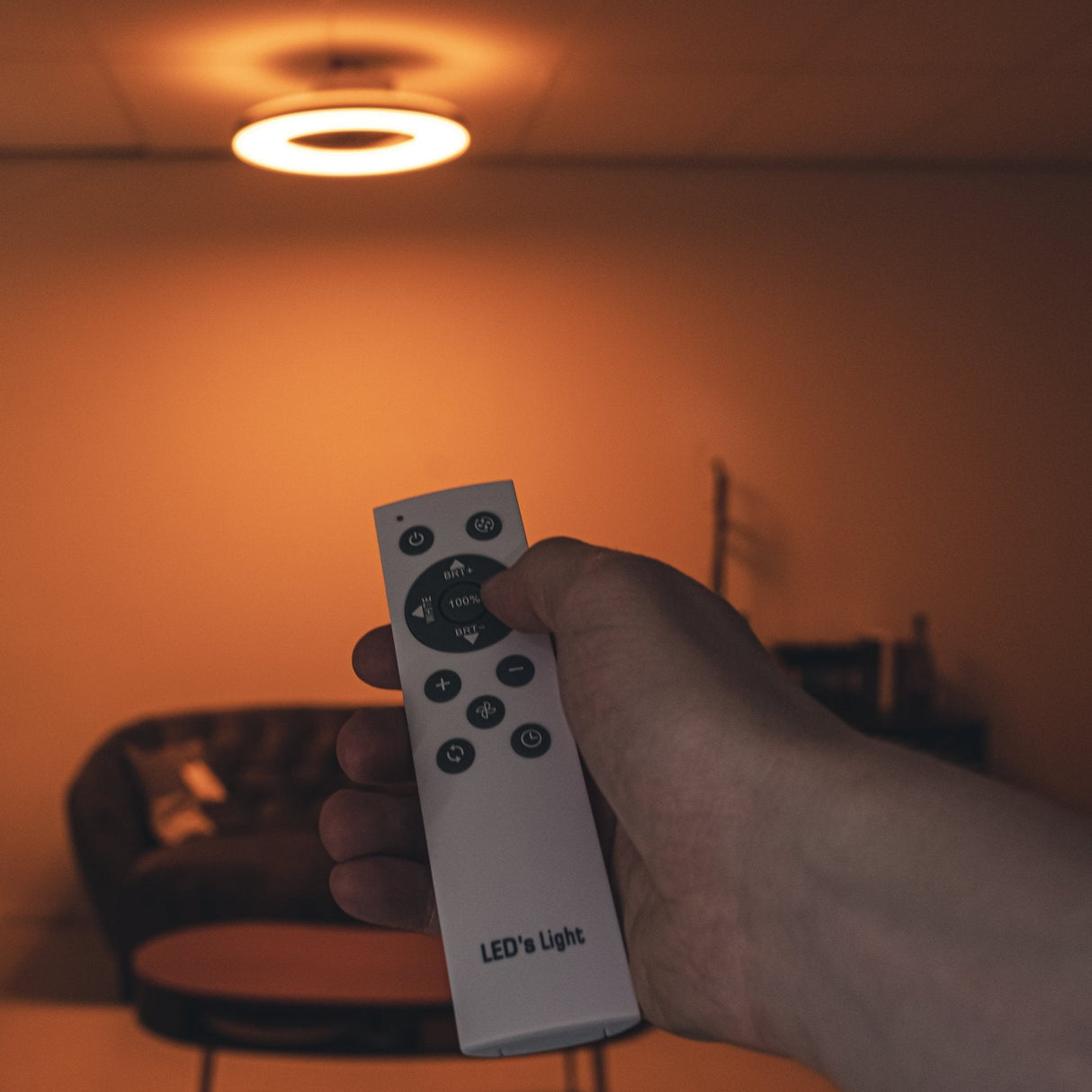 Proventa Premium Deckenventilator mit Lampe 60 cm - Sommer- und Wintermodus mit Fernbedienung - Schwarz