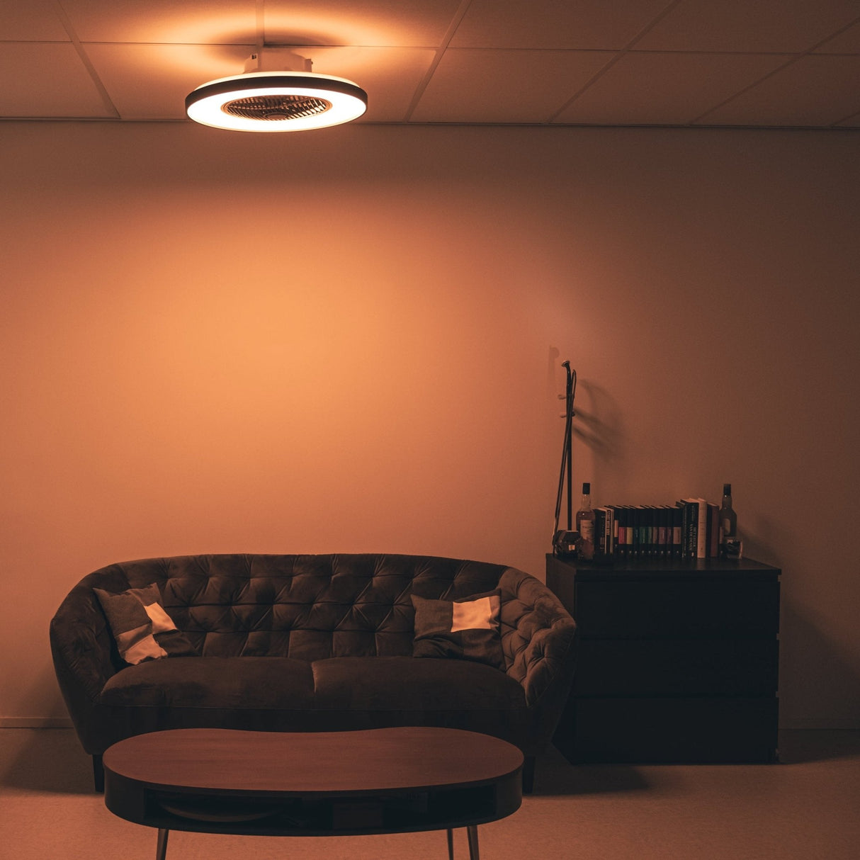 Proventa Premium Deckenventilator mit Lampe 60 cm - Sommer- und Wintermodus mit Fernbedienung - Schwarz