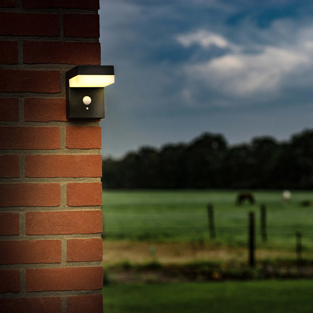 LED-Wandleuchte von LED's Light RVS mit Solarbetrieb und Bewegungsmelder – Kabellos – Quadratisch – 3 Modi – Schwarz