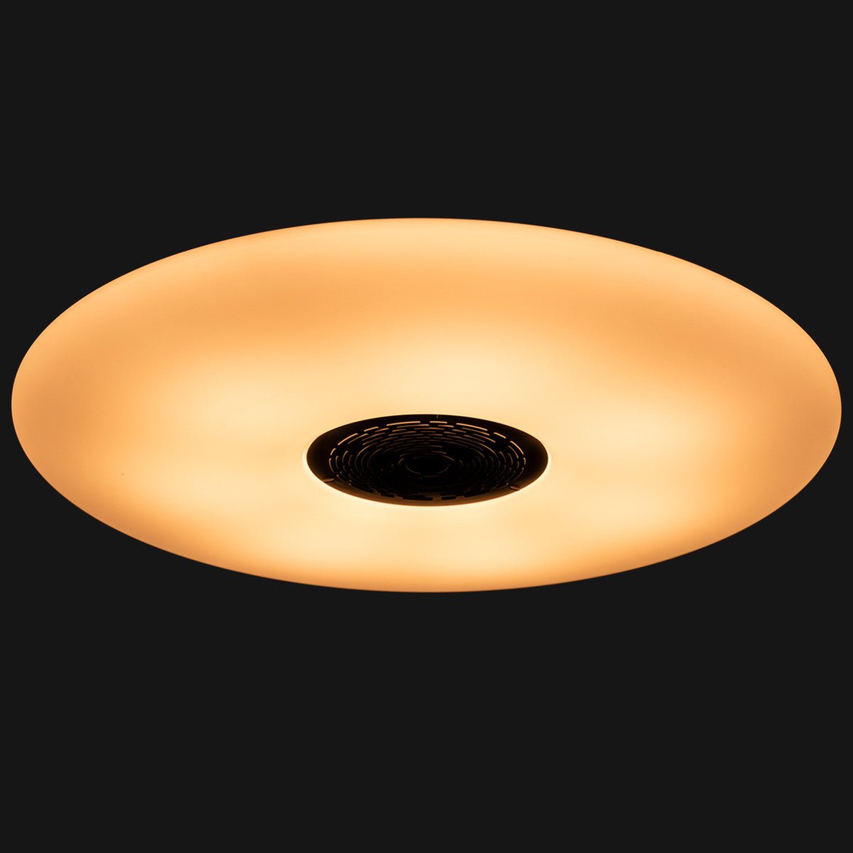 VoiceControl LED Ceiling Light 50 cm with Google Nest & Amazon Echo Dot Holder - Controllable with App
