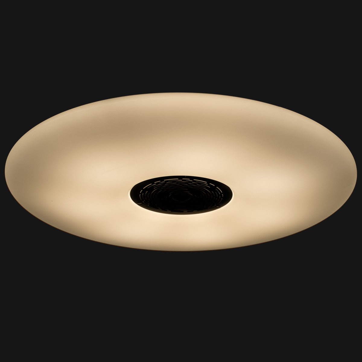 VoiceControl LED Ceiling Light 50 cm with Google Nest & Amazon Echo Dot Holder - Controllable with App