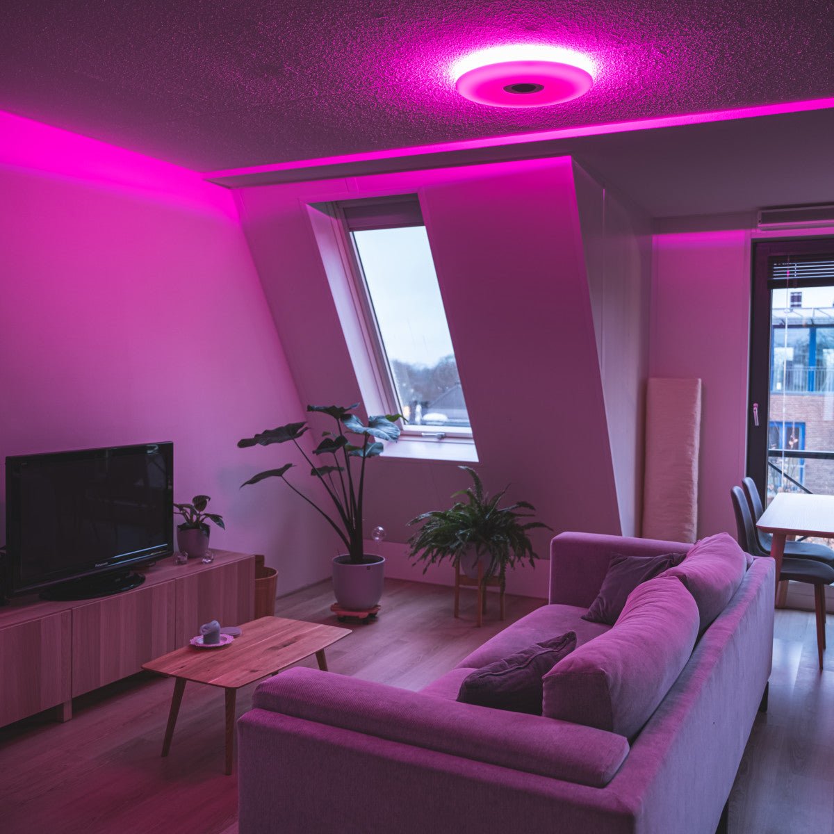 VoiceControl LED Ceiling Light 50 cm with Google Nest & Amazon Echo Dot Holder - Controllable with App
