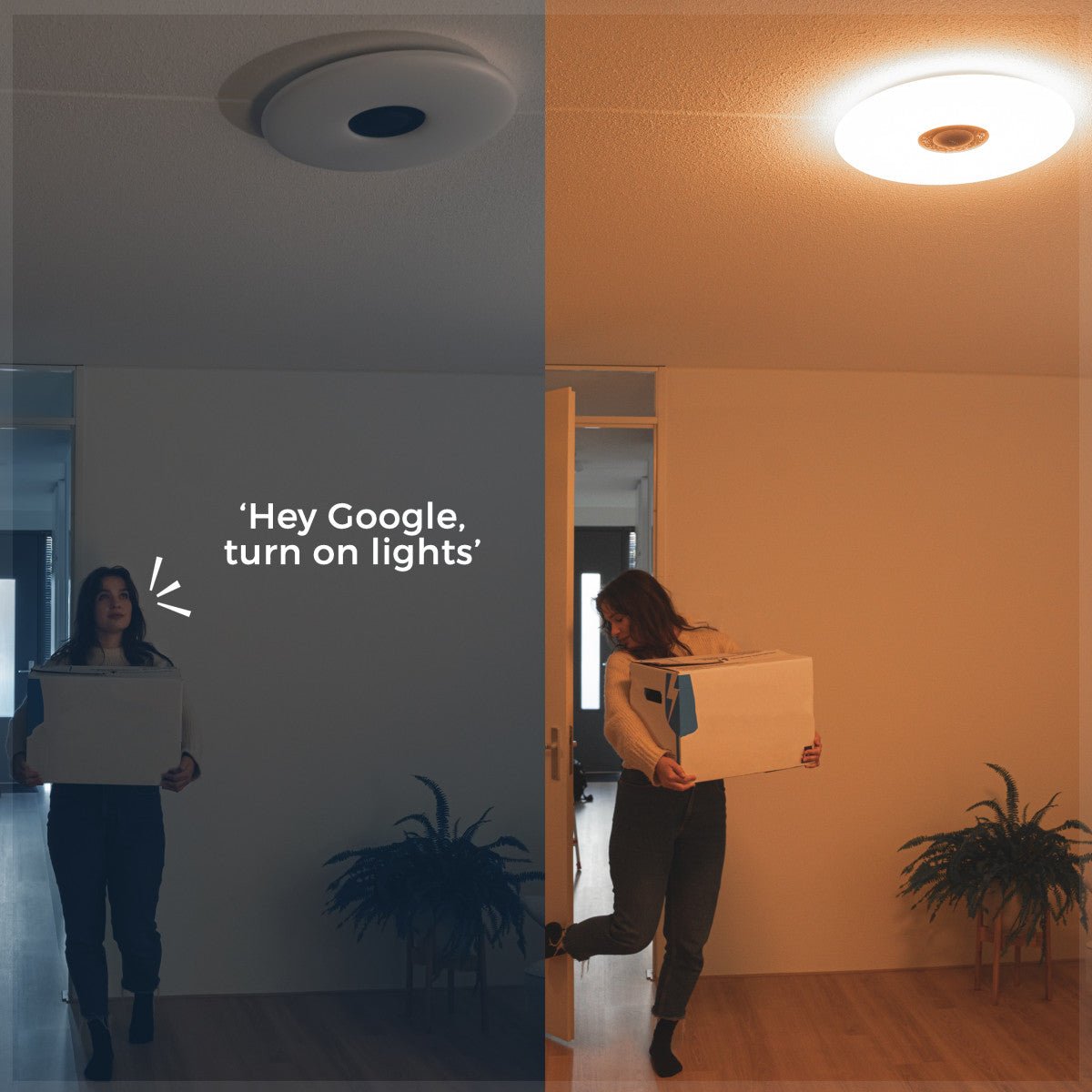 VoiceControl LED Ceiling Light 50 cm with Google Nest & Amazon Echo Dot Holder - Controllable with App