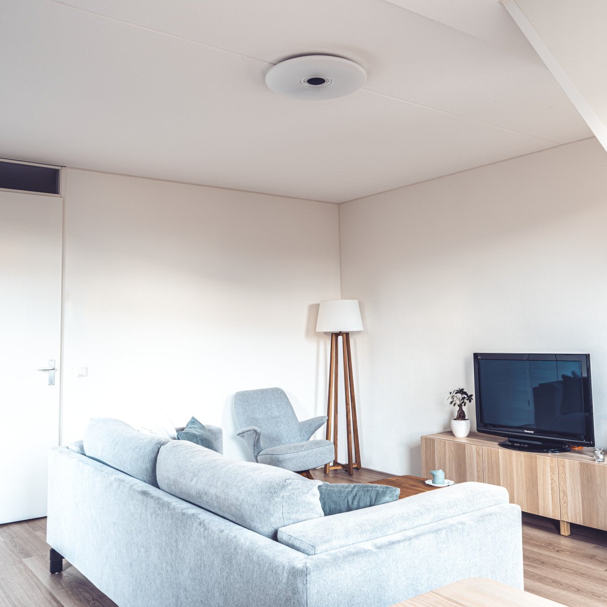 VoiceControl LED Ceiling Light 50 cm with Google Nest & Amazon Echo Dot Holder - Controllable with App