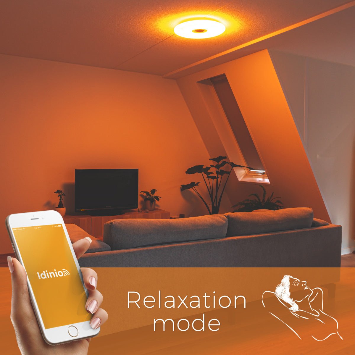 VoiceControl LED Ceiling Light 50 cm with Google Nest & Amazon Echo Dot Holder - Controllable with App