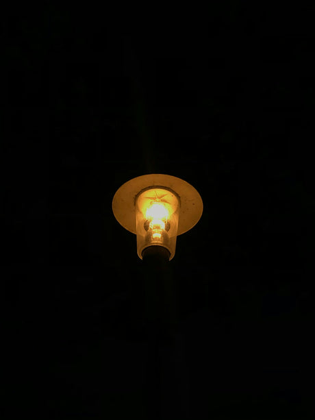 light bulb