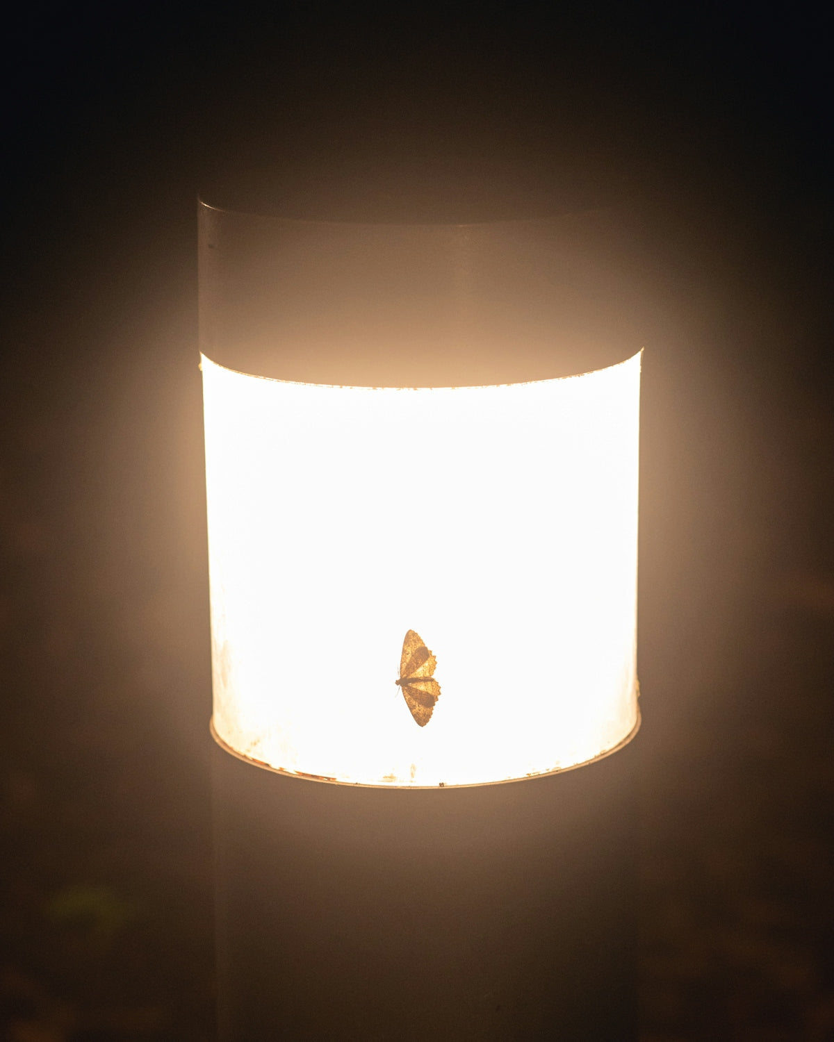 a light that is on in the dark