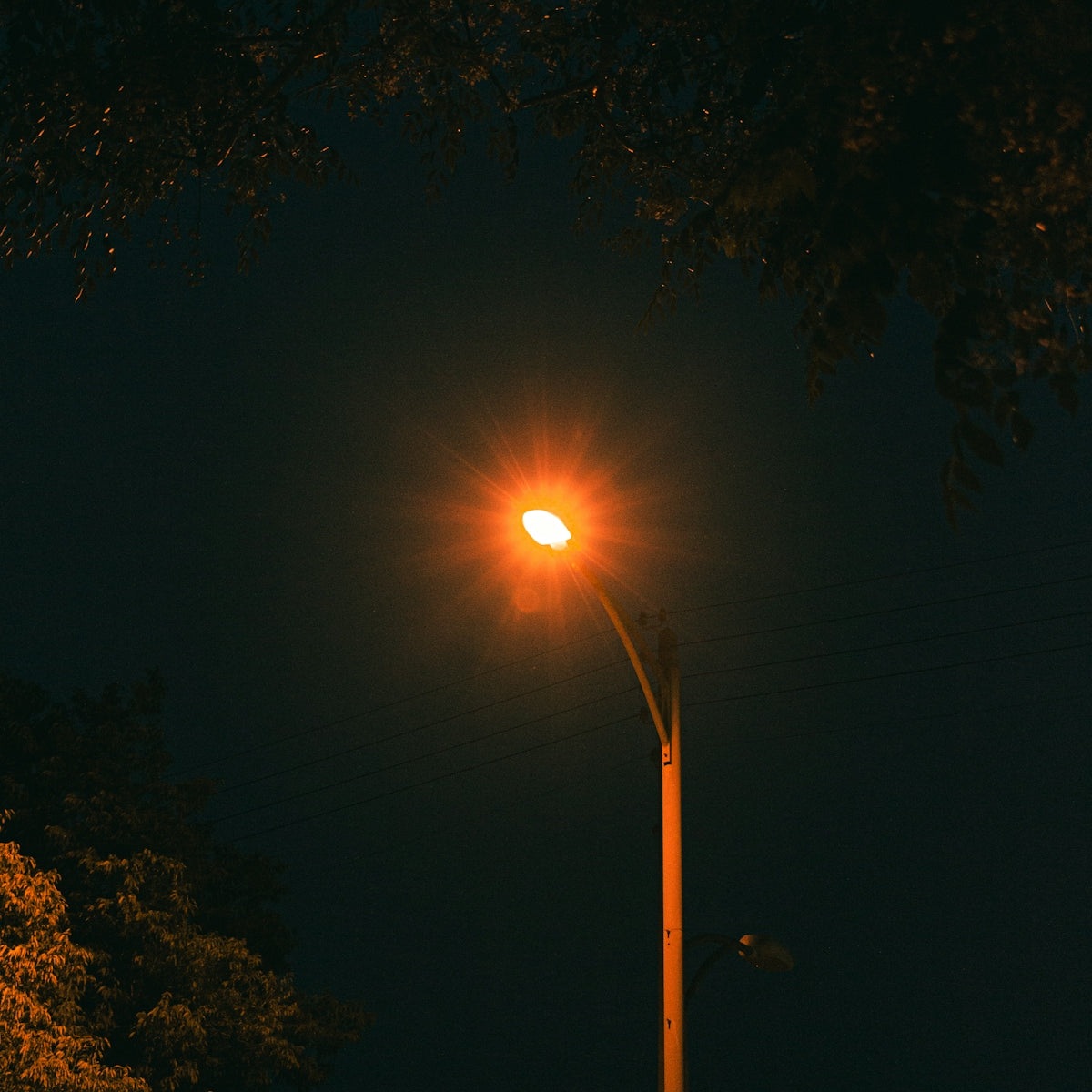 Vergelijk LEDverlichting met halogeenlampen - LEDPLANET.NL