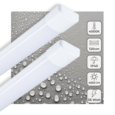 LED-Leuchtstoffröhre, 120 cm – 4650 Lumen – 36 W – Kaltweiß (4000 K) – Schutzart IP40 – 230 V – 2 Stück