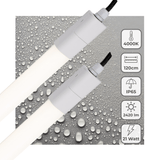 2 PACK - LED's Light LED TL verlichting compleet 120 cm - Geschikt voor buiten en binnen - 2420 lm