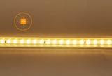 Lichtslang warmwit - 50 meter | 120 LEDs/meter 3000K | sproeidicht IP65 | 230V AC