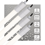 4 PACK - LED's Light LED TL verlichting compleet 120 cm - Geschikt voor buiten en binnen - 2420 lm