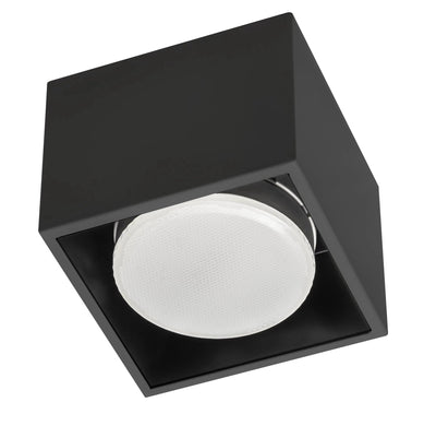 Cube Plafonniere met 1 lichtpunt - Draaibaar licht -  Staal - 10 x 8 cm - Zwart
