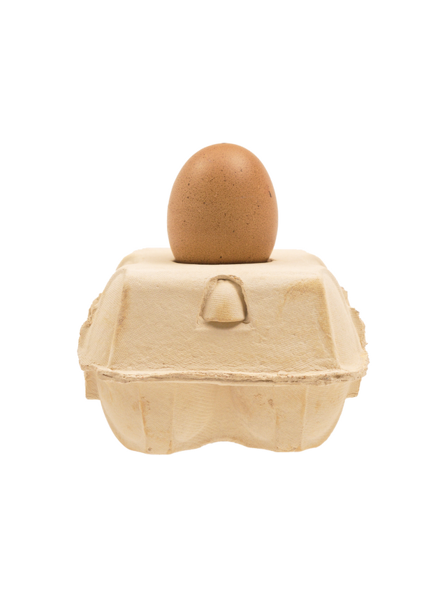 Duurzame LED lamp EggboxLAMP met unieke ei-vorm en energiebesparende eigenschappen