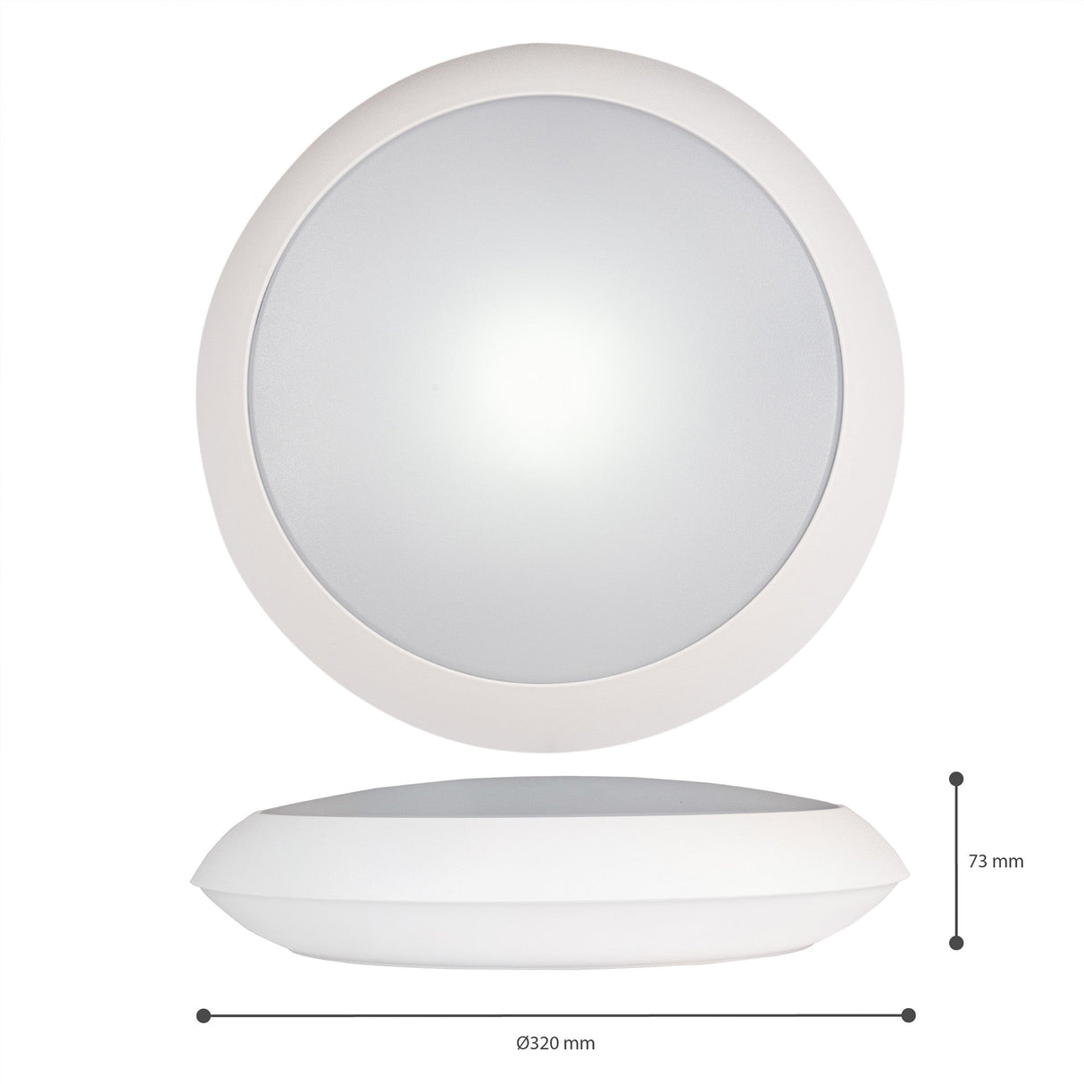 EasyFix LED Ceiling Lamp 30 cm - Dimmable light color and brightness - Waterproof - IP66
