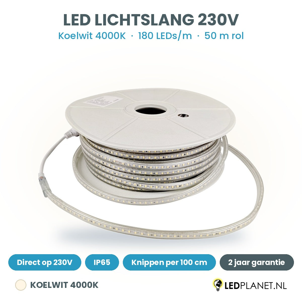 LED lichtslang 230V koelwit 4000K, 180 LEDs per meter, rol van 50 meter, IP65, per 100 cm te knippen