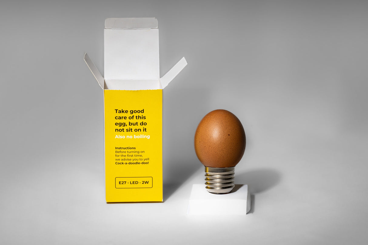 Egglamp bruin E27 LED 2W met instructies voor veilig gebruik in originele verpakking