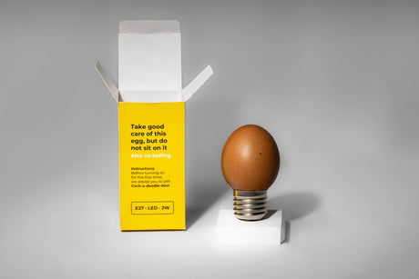 Brown egg lamp, E27 LED 2W, with instructions for safe use in the original packaging