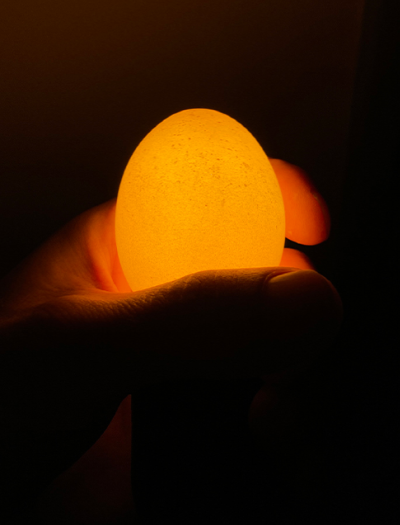 Egglamp bruin, LED lamp in ei-vorm, zacht licht, ideaal als nachtlampje.