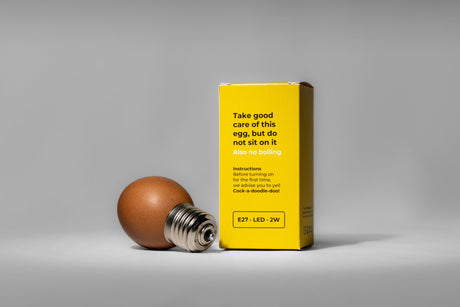 Brown egg lamp with an E27 socket, 2W LED, and instructions for use