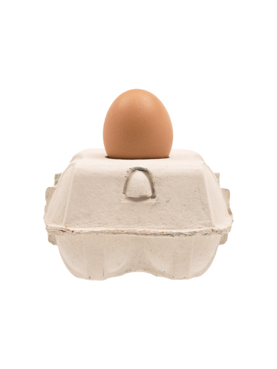 EggboxLAMP Classic LED-Lampe mit einzigartigem eiförmigem Design in einem Eierkarton