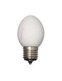 Egglamp wit LED E27 800lm 3000K IP20 voor interieurgebruik