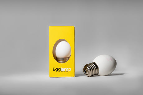 White LED egg lamp, E27 fitting, 800 lumens, 3000K, IP20, 1 piece per package