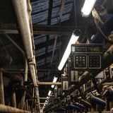 FarmPro LED TL armatuur 150 cm  - Agrarische LED TL verlichting  - Ammoniak- en waterbestendig  - IP69K
