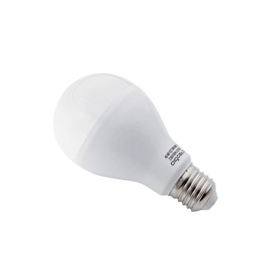 Gloeilamp E27 10 stuks, A60 LED 20W=120W traditioneel licht, 1900 Lumen