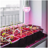 Kweeklamp LED met roze licht bovenop potten met zaailingen voor een optimale groei